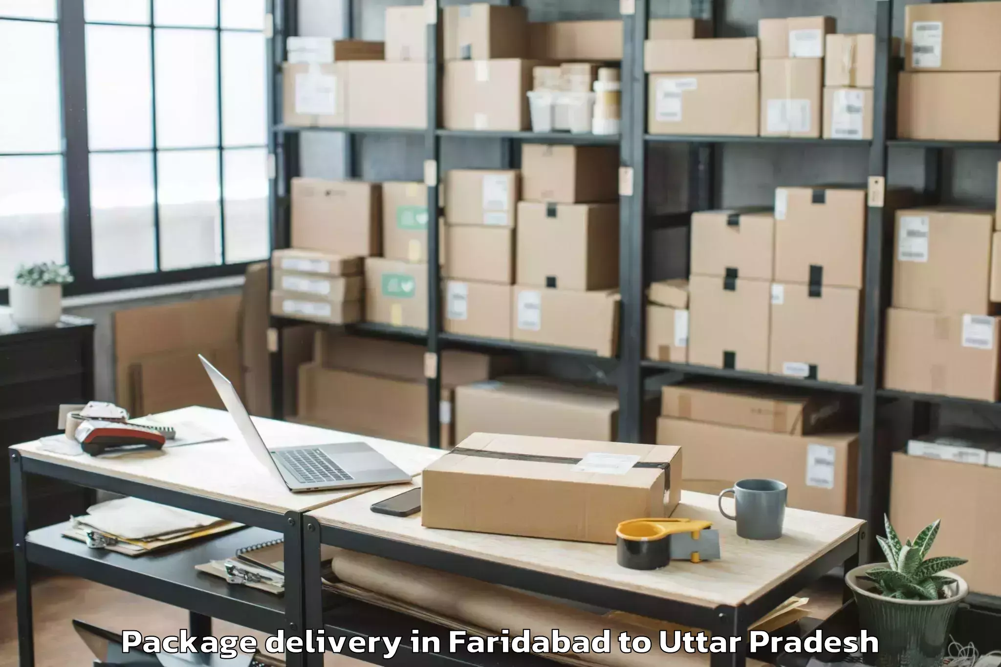 Quality Faridabad to Itava Package Delivery